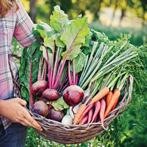 edible gardening