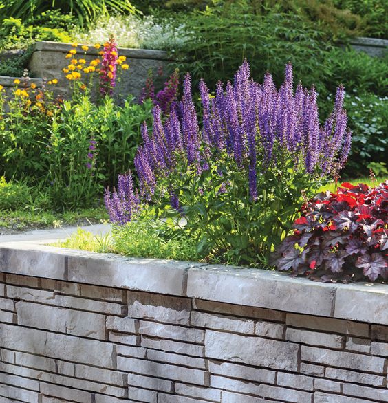 Tandem Wall Planter mixing hardscapes with landscapes