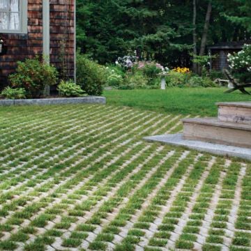 grassy paver driveway