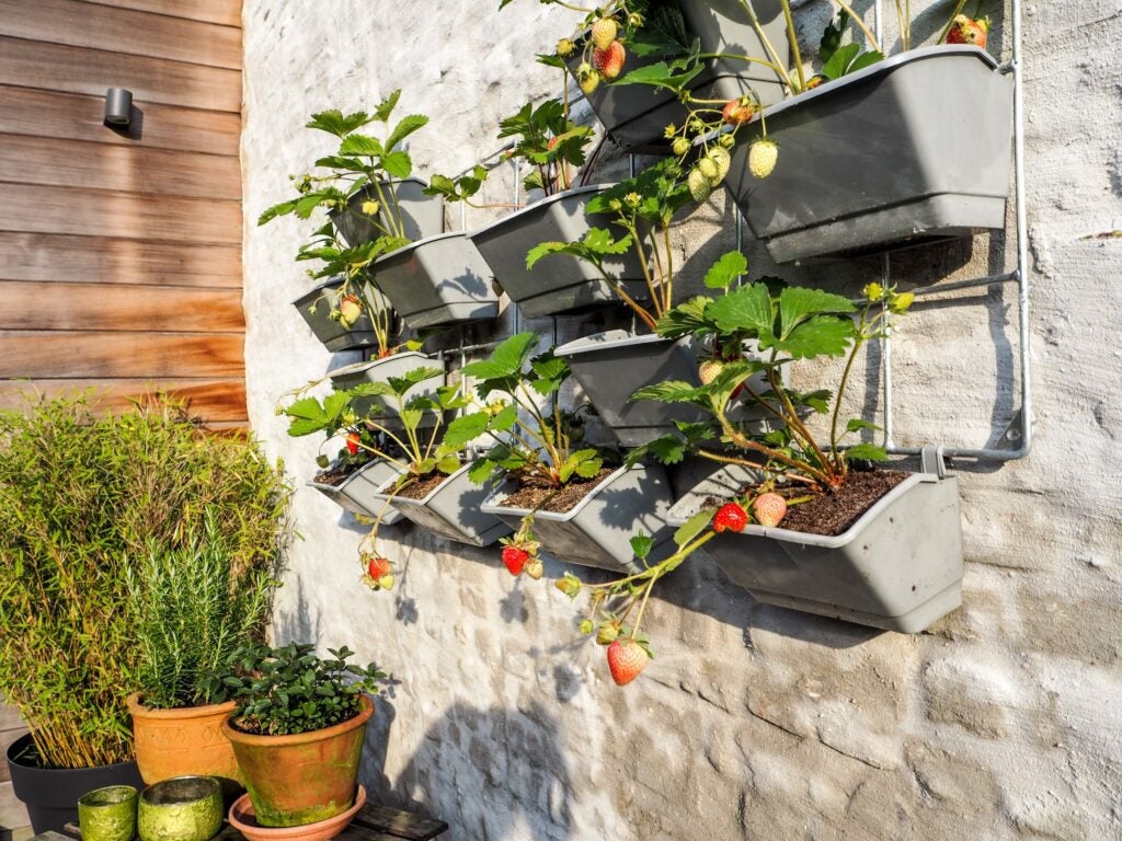 vertical garden using containers