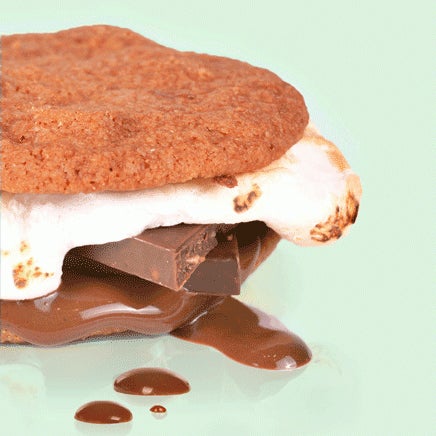 Oh, SNAP! S'More Recipe