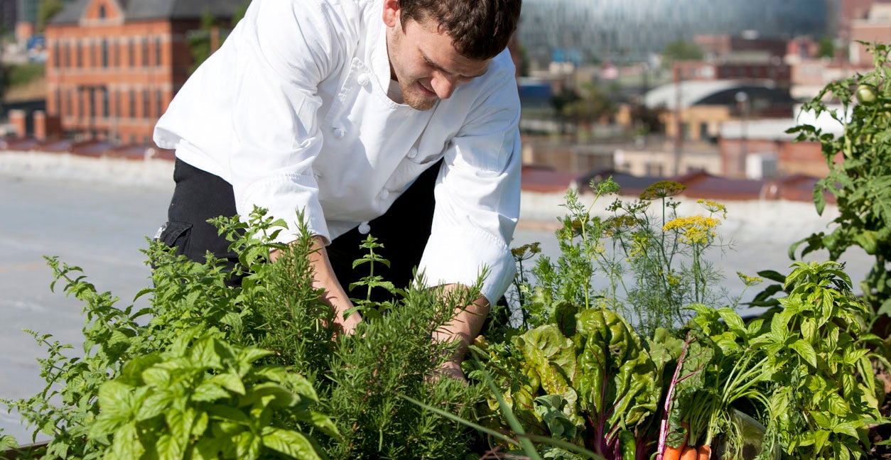 Create a Personal Urban Garden Design