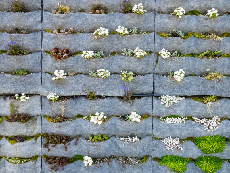 vertical garden with poclets