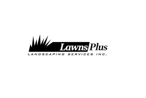 contractor