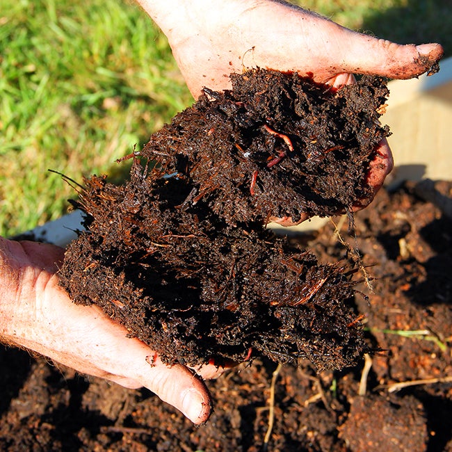 outdoor compost soil