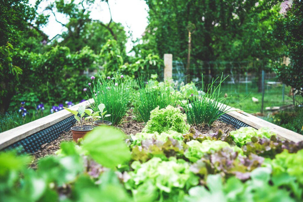 backyard built-in planters for flowers