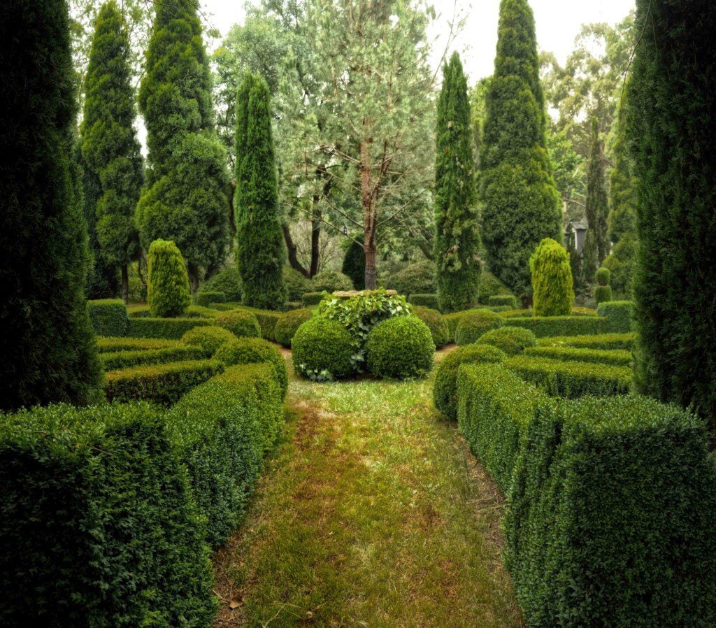 Labyrinth Garden