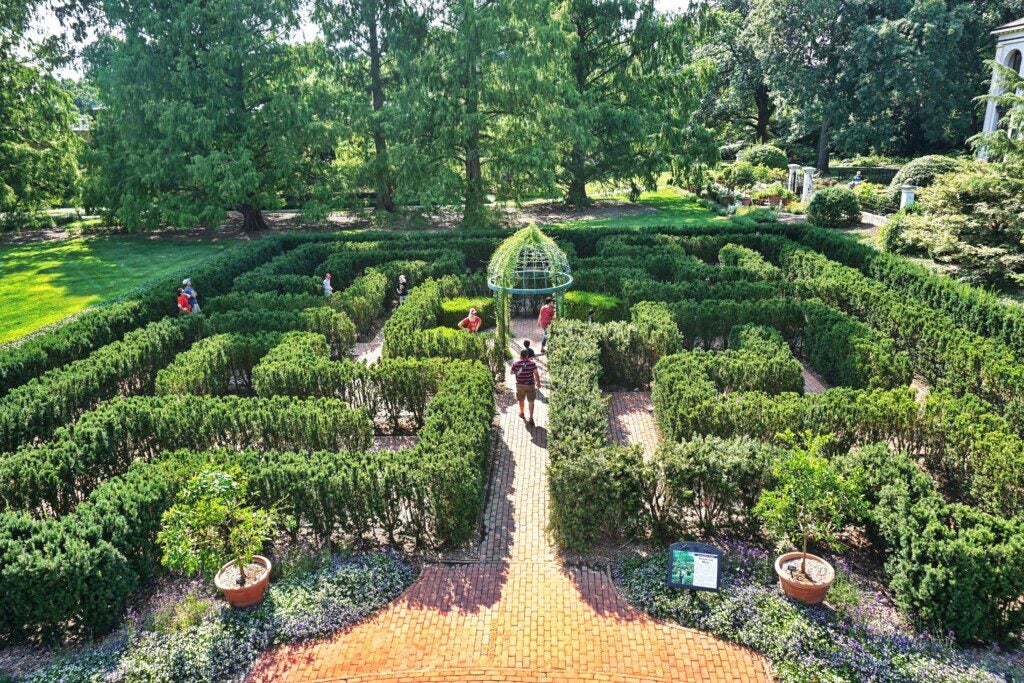 Labyrinth Garden