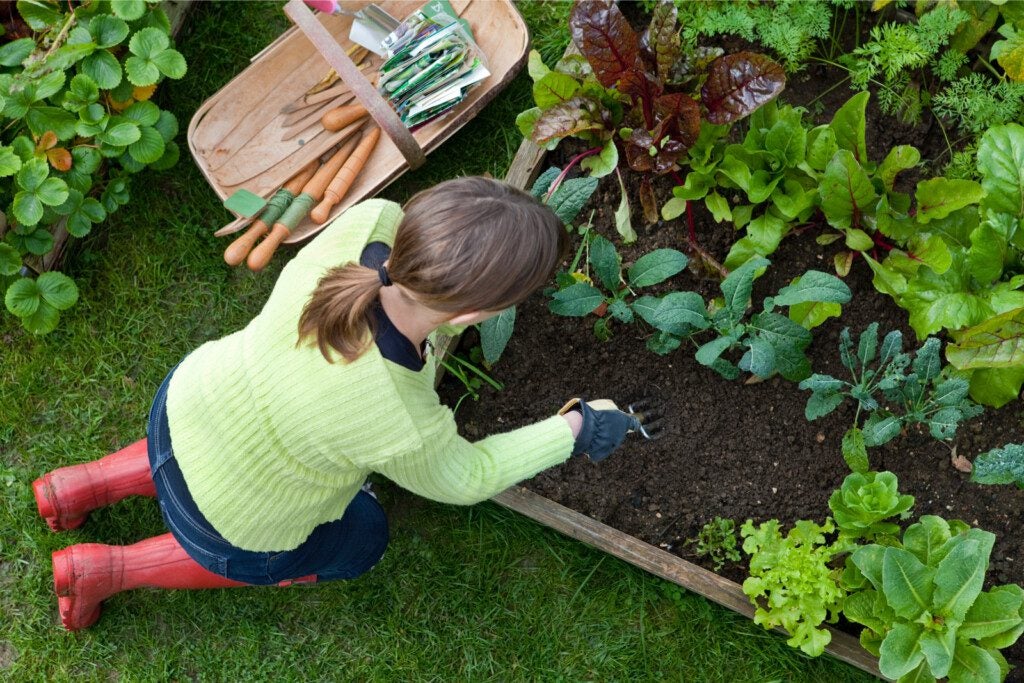 gardening trends in 2024